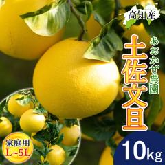 ���U �y�����U �ƒ�p L�`5L�T�C�Y ���� 17�`20�� 10kg �h�ѕ��U �Y�� ���������_�� �h�� �Ԃ񂽂� �y�k�C�����ꌧ�������������z�h�юs 