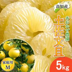 ���U �y�����U �ƒ�p �� M�T�C�Y 14�`16�� 5kg �h�ѕ��U �Y�� ���������_�� �h�� �Ԃ񂽂� �y�k�C�����ꌧ�������������z�h�юs �Y�n��