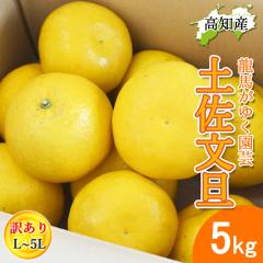 ���U �󂠂� �y�����U 5kg �Y�� ���n���䂭���| �h�� �Ԃ񂽂� �y�k�C�����ꌧ�������������z �h�юs �Y�n���� ���m�Y �T�C�Y���� ���P�A