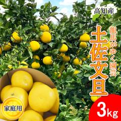 ���U �y�����U �ƒ�p 3kg �Y�� ���n���䂭���| �h�� �Ԃ񂽂� �h�юs �Y�n���� ���m�Y�y�k�C�����ꌧ�������������z���m�� �T�C�Y���� 3