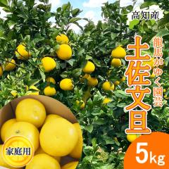 ���U �y�����U �ƒ�p 5kg �Y�� ���n���䂭���| �h�� �Ԃ񂽂� �h�юs �Y�n���� ���m�Y�y�k�C�����ꌧ�������������z���m�� �T�C�Y���� 5