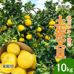 ���U �y�����U �ƒ�p 10kg �Y�� ���n���䂭���| �h�� �Ԃ񂽂� �h�юs �Y�n���� ���m�Y�y�k�C�����ꌧ�������������z���m�� �T�C�Y���� 