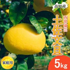 ���U �y�����U �ƒ�p 5kg L�`4L�T�C�Y ���� 8�`12�� �������| �h�� �Ԃ񂽂� �h�юs �Y�n���� ���m�Y�y�k�C�����ꌧ�������������z�T�C