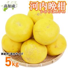 �y���c�����z �͓��ӊ� �ƒ�p 5kg ���� L�`5L ���c�ʎ��� �͓��΂񂩂� ���m�Y �y�k�C�����ꌧ�������������z �h�� ���Y �a���O���[�v�t