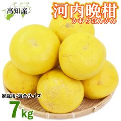 �y���c�����z �͓��ӊ� �ƒ�p 7kg ���� L�`5L ���c�ʎ��� �͓��΂񂩂� ���m�Y �y�k�C�����ꌧ�������������z �h�� ���Y �a���O���[�v�t