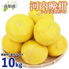 �y���c�����z �͓��ӊ� �ƒ�p 10kg ���� L�`5L ���c�ʎ��� �͓��΂񂩂� ���m�Y �y�k�C�����ꌧ�������������z �h�� ���Y �a���O���[�v