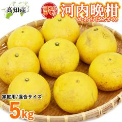 �y���c�����z �͓��ӊ� �󂠂� 5kg ���� M�`5L ���c�ʎ��� �͓��΂񂩂� ���m�Y �y�k�C�����ꌧ�������������z �h�� ���Y �a���O���[�v�t
