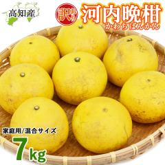 �y���c�����z �͓��ӊ� �󂠂� 7kg ���� M�`5L ���c�ʎ��� �͓��΂񂩂� ���m�Y �y�k�C�����ꌧ�������������z �h�� ���Y �a���O���[�v�t