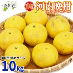 �y���c�����z �͓��ӊ� �󂠂� 10kg ���� M�`5L ���c�ʎ��� �͓��΂񂩂� ���m�Y �y�k�C�����ꌧ�������������z �h�� ���Y �a���O���[�v