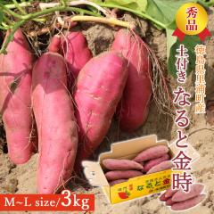 �y�Y�n�����z ���܈� ����� �G�i �y�t�� 3kg M L�T�C�Y �y�k�C�����ꌧ�������������z������ �� ���Y�Y �������� �� ���܂��� 