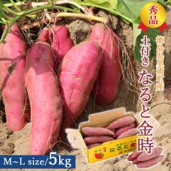 �y�Y�n�����z ���܈� ����� �G�i �y�t�� 5kg M L�T�C�Y �y�k�C�����ꌧ�������������z������ �� ���Y�Y �������� �� ���܂��� 