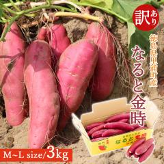 �y�Y�n�����z �󂠂� ���܈� ����� �� 3kg M L�T�C�Y �y�k�C�����ꌧ�������������z������ �� ���Y�Y �������� �� ���܂��� 