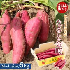 �y�Y�n�����z �󂠂� ���܈� ����� �� 5kg M L�T�C�Y �y�k�C�����ꌧ�������������z������ �� ���Y�Y �������� �� ���܂��� 