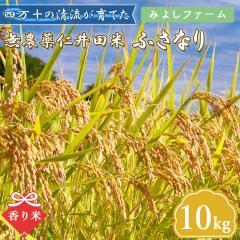 yEYz l\ ܂ڂ낵̕ ӂȂ _ mc 10kg ߘa7NY  [}g]ykCꌧz 