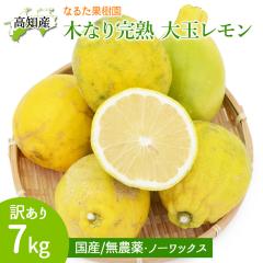   󂠂 7kg ͔|Ԓ _ Y ؐ芮n   ykCꌧz m[bNX mY EG Ȃ