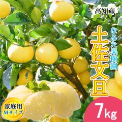 ���U �y�����U �ƒ�p 7kg �� M�T�C�Y 18�`21�� �Ȃ邽�ʎ��� �h�� �Ԃ񂽂� �y�k�C�����ꌧ�������������z�h�юs �Y�n���� ���m�Y 7�L��