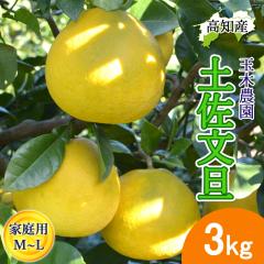 ���U �y�����U �ƒ�p �� ML�T�C�Y 6�`10�� 3kg �ʖؔ_�� �y�k�C�����ꌧ�������������z �y���s �Y�� ��͂� �}�Ζʍ͔| �Ԃ񂽂� �Y�n��