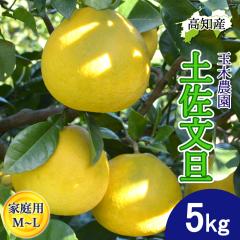 ���U �y�����U �ƒ�p �� ML�T�C�Y 12�`16�� 5kg �ʖؔ_�� �y�k�C�����ꌧ�������������z �y���s �Y�� ��͂� �}�Ζʍ͔| �Ԃ񂽂� �Y�n