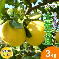 ���U �y�����U �ƒ�p L�`4L�T�C�Y 5�`8�� 3kg �ʖؔ_�� �y�k�C�����ꌧ�������������z �y���s �Y�� ��͂� �}�Ζʍ͔| �Ԃ񂽂� �Y�n��