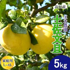 ���U �y�����U �ƒ�p L�`4L�T�C�Y 7�`13�� 5kg �ʖؔ_�� �y�k�C�����ꌧ�������������z �y���s �Y�� ��͂� �}�Ζʍ͔| �Ԃ񂽂� �Y�n��