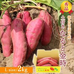 �y�Y�n�����z ���܈� ����� �G�i �y�t�� 2kg L�T�C�Y �y�k�C�����ꌧ�������������z������ �� ���Y�Y �������� �� ���܂��� ��