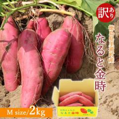 �y�Y�n�����z �󂠂� ���܈� ����� �� 2kg M�T�C�Y �y�k�C�����ꌧ�������������z������ �� ���Y�Y �������� �� ���܂��� ��