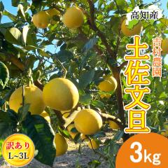 ���U �y�����U �󂠂� 3kg L�`3L�T�C�Y ���� 4�`10�� �g���_�� �y�k�C�����ꌧ�������������z �h�ѕ��U �Y�� �h�� �Ԃ񂽂� �h�юs �Y�n