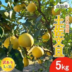 ���U �y�����U �󂠂� 5kg L�`3L�T�C�Y ���� 7�`12�� �g���_�� �y�k�C�����ꌧ�������������z �h�ѕ��U �Y�� �h�� �Ԃ񂽂� �h�юs �Y�n