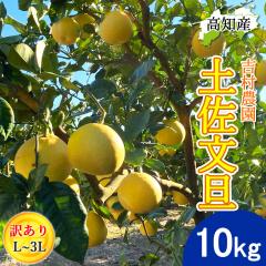 ���U �y�����U �󂠂� 10kg L�`3L�T�C�Y ���� 14�`24�� �g���_�� �y�k�C�����ꌧ�������������z �h�ѕ��U �Y�� �h�� �Ԃ񂽂� �h�юs �Y