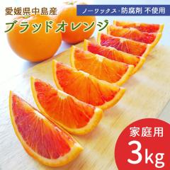 �����Y �u���b�h�I�����W �^���b�R 3kg �ƒ�p �T�C�Y���C�� �y�k�C�����ꌧ�������������z �Y�n���� ���I�����W ���݂��� ���k �ʕ� �t