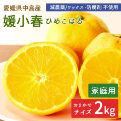 �����Y �݂��� �Q���t 2kg ���� �Ђ߂��͂� �ƒ�p �T�C�Y���� ���_�� �Y�n�����y�k�C�����ꌧ�������������z ���݂��� ���k �ʕ� �t���[