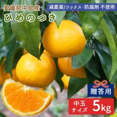 �����Y �݂��� �Ђ߂̂� �����p ���I�i 5kg ���� ML�T�C�Y ���_�� �Y�n�����y�k�C�����ꌧ�������������z ���݂��� ���k ���Q�~�J�� �t