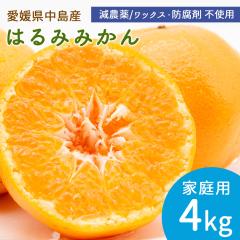 �����Y �͂�� �݂��� �ƒ�p 4kg �T�C�Y���C�� �͂�݂݂��� ���_�� �Y�n�����y�k�C�����ꌧ�������������z ���݂��� ���k �ʕ� �t���[