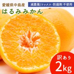 �����Y �͂�� �݂��� �󂠂� 2kg �T�C�Y���� �͂�݂݂��� ���_�� �Y�n�����y�k�C�����ꌧ�������������z ���݂��� ���k �ʕ� �t���[�c 