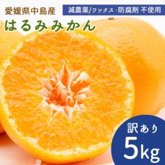 �����Y �͂�� �݂��� �󂠂� 5kg �T�C�Y���� �͂�݂݂��� ���_�� �Y�n�����y�k�C�����ꌧ�������������z ���݂��� ���k �ʕ� �t���[�c 