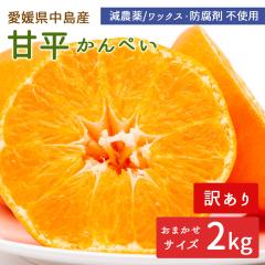 �����Y �݂��� �Õ� 2kg �󂠂� �����Õ� ����؂� �T�C�Y���� ���_�� �Y�n�����y�k�C�����ꌧ�������������z ���݂��� ���k �ʕ� �t���[