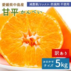 �����Y �݂��� �Õ� 5kg �󂠂� �����Õ� ����؂� �T�C�Y���� ���_�� �Y�n�����y�k�C�����ꌧ�������������z ���݂��� ���k �ʕ� �t���[