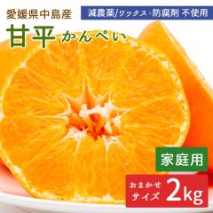 �����Y �݂��� �Õ� 2kg �ƒ�p �����Õ� ����؂� �T�C�Y���� ���_�� �Y�n�����y�k�C�����ꌧ�������������z ���݂��� ���k �ʕ� �t���[