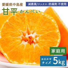 �����Y �݂��� �Õ� 5kg �ƒ�p �����Õ� ����؂� �T�C�Y���� ���_�� �Y�n�����y�k�C�����ꌧ�������������z ���݂��� ���k �ʕ� �t���[