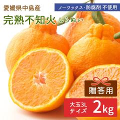 �����Y ���㊮�n�s�m�� �����f�R�|�� 2kg �����p ��ʃT�C�Y 3L �����݂��� �y�k�C�����ꌧ�������������z �Y�n���� ���݂��� ���k ���Q