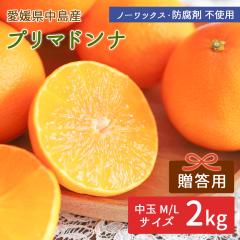 �����Y �v���}�h���i 2kg �����p(�ԏG) ���� �����݂��� �Y�n���� ���݂��� �y�k�C�����ꌧ�������������z ���k ���� ���Q�~�J�� �t�݂�