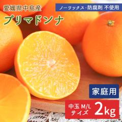 �����Y �v���}�h���i 2kg �����p(�ԏG) ���� �����݂��� �Y�n���� ���݂��� �y�k�C�����ꌧ�������������z ���k ���� ���Q�~�J�� �t�݂�