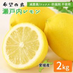 �Y�n���� ���˓������� 2kg �ƒ�p �c���_��[�� ��]�̓��Y�y�k�C�����ꌧ�������������z ���Y ������ ���˓��C ���� �E�G ����� 2�L��