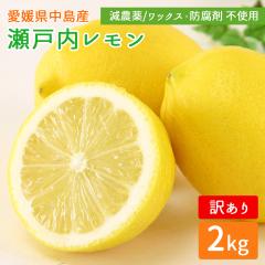 �Y�n���� ���˓������� 2kg �󂠂� �c���_��[�� ��]�̓��Y �y�k�C�����ꌧ�������������z ���Y ������ ���˓��C ���� �E�G ����� 2�L