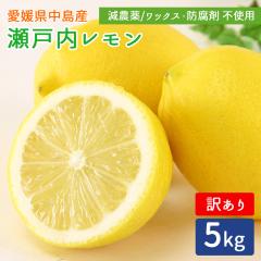 �Y�n���� ���˓������� 5kg �󂠂� �c���_��[�� ��]�̓��Y �y�k�C�����ꌧ�������������z ���Y ������ ���˓��C ���� �E�G ����� 5�L