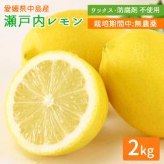 �Y�n���� ���˓������� ���_�� ������ 2kg �ƒ�p �͔|���Ԓ����_�� �y�k�C�����ꌧ�������������z ���˓��C �����̓� �E�G 2�L�� �O���[