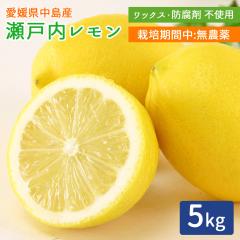 �Y�n���� ���˓������� ���_�� ������ 5kg �ƒ�p �͔|���Ԓ����_�� �y�k�C�����ꌧ�������������z ���˓��C �����̓� �E�G 5�L�� �O���[