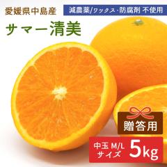 �����Y �T�}�[���� 5kg �����p ���I�i ���� ML�T�C�Y �����݂��� ���_�� �y�k�C�����ꌧ�������������z �Y�n���� ���݂��� ���k �^���S�[