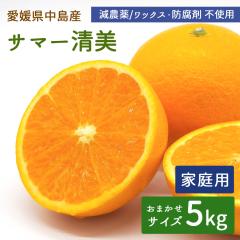 �����Y �T�}�[���� 5kg �ƒ�p �T�C�Y���� �����݂��� ���_�� �y�k�C�����ꌧ�������������z �Y�n���� ���݂��� ���k �^���S�[�� �����I