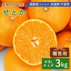 �����Y �݂��� ���Ƃ� 3kg �����p(�ԏG) ���I�i ���� L�T�C�Y ��15�� �y�k�C�����ꌧ�������������z �������Ƃ� ���_�� �Y�n���� ���݂�